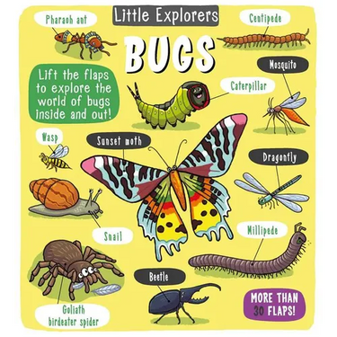 Little Explorers: Bugs