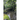 Sacred Grounds