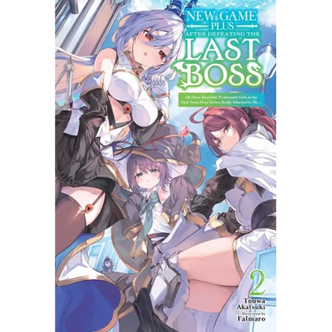 New Game Plus After Defeating the Last Boss, Vol. 2 (Light Novel): All These Beautiful, Problematic Girls in the First Town Have Gotten Really Attache