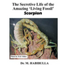 The Secretive Life of the Amazing 'Living Fossil' Scorpion