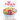 50 Popsicle Recipes: Making Popsicles; Popsicle Recipe Book