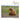 Bears: A Photographic Collection