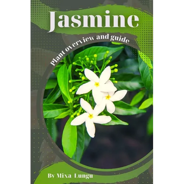 Jasmine: Plant overview and guide