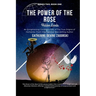 The Power of the Rose: Hidden Lands
