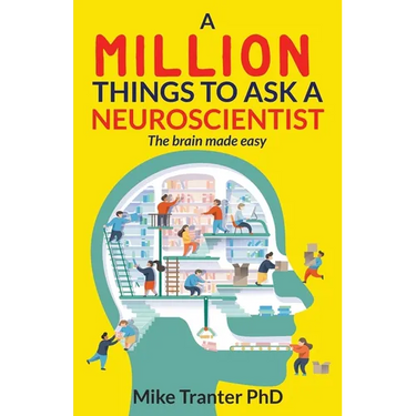 A Million Things To Ask A Neuroscientist: The brain made easy