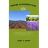 Thriving in Lavender Fields: A Comprehensive Guide to Successful Lavender Farming Business - Cultivation, Marketing, and Profits