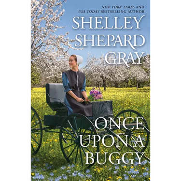 Once Upon a Buggy