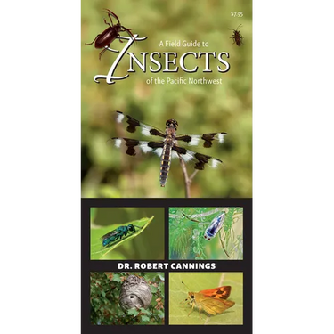 A Field Guide to Insects of the Pacific Northwest
