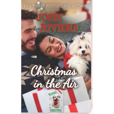 Christmas in the Air