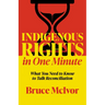 Indigenous Rights in One Minute: What You Need to Know to Talk Reconciliation