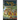 The Middle Ages: An Interactive History Adventure