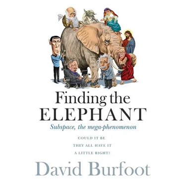 Finding the Elephant: Subspace, the Mega-phenomenon