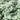 31f91932-0de0-4ed8-a359-8398b53c6121-Max