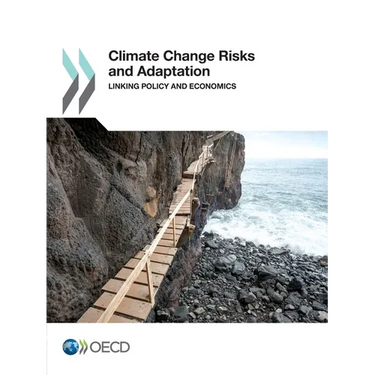 Climate Change Risks and Adaptation