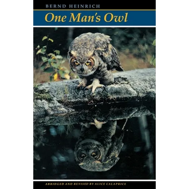 One Man's Owl: Abridged Edition