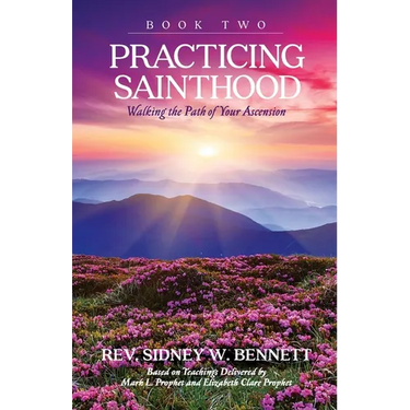 Practicing Sainthood - Walking the Path of your Ascension Book Two