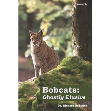 Bobcats: Ghostly Elusive