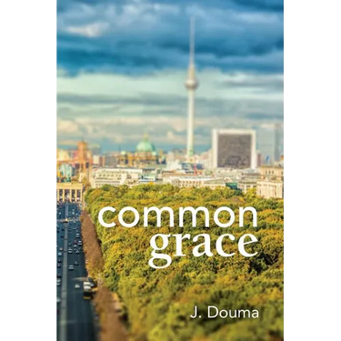 Common Grace in Kuyper, Schilder, and Calvin: Exposition, Comparison, and Evaluation