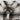 3675672d-6088-4a89-a35d-6b2b8d3c7284-Max