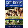 Got Dogs? What To Do With Fido When You Travel: Should you Bring Fido with you? Leave Fido at home with a pet sitter? Take Fido to a pet spa, dog ranc