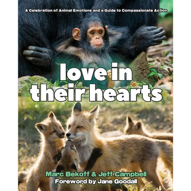 Love in Their Hearts: A Celebration of Animal Emotions and a Guide to Compassionate Action