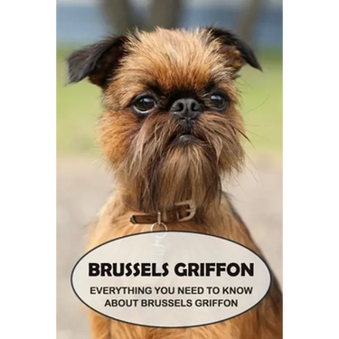 Brussels Griffon: Everything You Need to Know About Brussels Griffon: Brussels Griffon Dog Breed Pictures