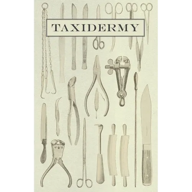 Taxidermy