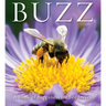 Buzz: A Book of Happiness for Bee Lovers