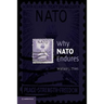 Why NATO Endures