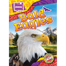 Bald Eagles