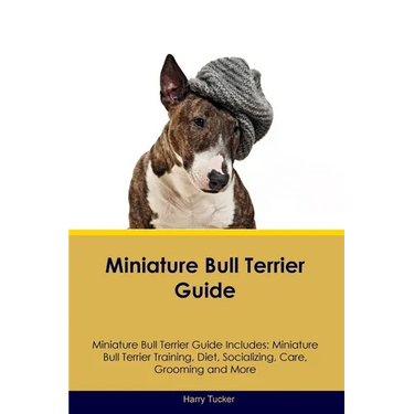 Miniature Bull Terrier Guide Miniature Bull Terrier Guide Includes: Miniature Bull Terrier Training, Diet, Socializing, Care, Grooming, Breeding and M