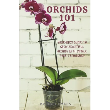 Orchids 101: Your quick guide to grow beautiful orchids with simple care techniques