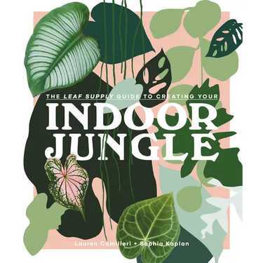 The Leaf Supply Guide to Creating Your Indoor Jungle