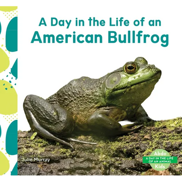 Day in the Life of an American Bullfrog