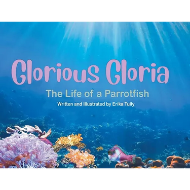 Glorious Gloria: The Life of A Parrotfish