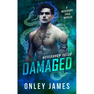 Damaged: A Necessary Evils Novella