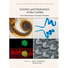 Function and Dysfunction of the Cochlea: From Mechanisms to Potential Therapies