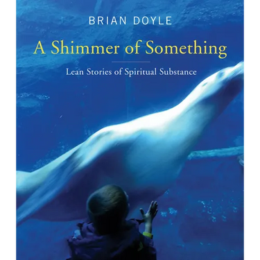 Shimmer of Something: Lean Stories of Spiritual Substance