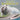 What are Mammals? Animal Book for 2nd Grade Children's Animal Books