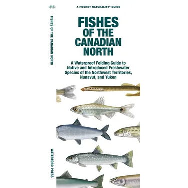 Fishes of the Canadian North: A Folding Guide to Native and Introduced Freshwater Species of the Northwest Territories, Nunavut and Yukon