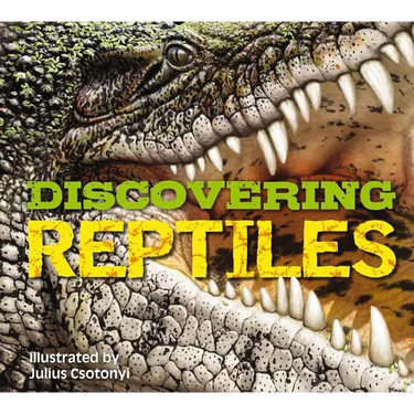 Discovering Reptiles: The Ultimate Handbook to the Reptiles of the World!