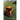 Accelerated Times