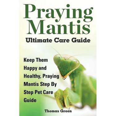 Praying Mantis Ultimate Care Guide