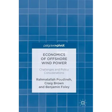 Economics of Offshore Wind Power: Challenges and Policy Considerations