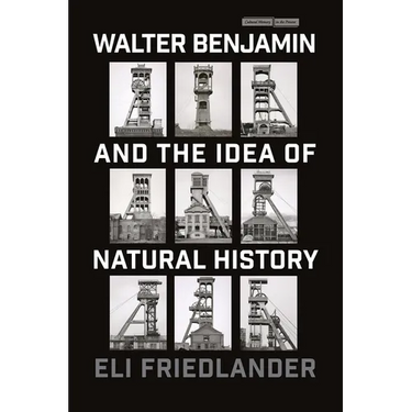 Walter Benjamin and the Idea of Natural History
