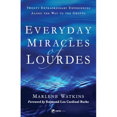 Everyday Miracles of Lourdes 2nd Edition: Twenty Extraordinary Experiences Along the Way to the Grotto