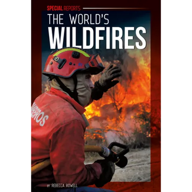 World's Wildfires