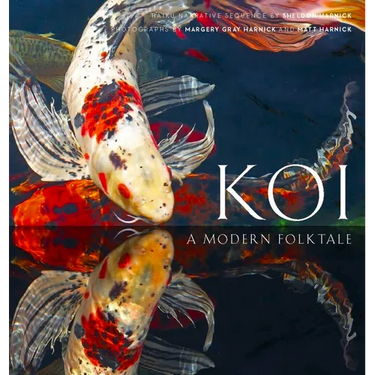 Koi: A Modern Folk Tale