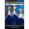 Cosmic Womb: The Seeding of Planet Earth