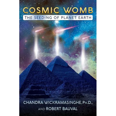 Cosmic Womb: The Seeding of Planet Earth